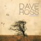 Son of God - Dave Ross lyrics