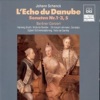 Berliner Conzert - L'echo du Danube, Op. 9, Sonata No. 1: I. Vivace
