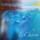 Du Füehrsch Mi A Di Quelle artwork