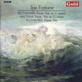 Piano Trio in C Minor, Op. 1 No. 3: II. Andante cantabile con variazioni artwork