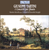 Flute Concerto in D Major (Gimo 291): I. Allegro artwork