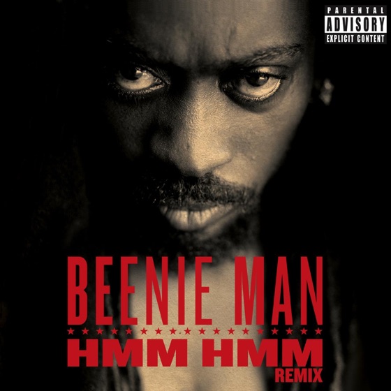 Cover artwork for Hmm Hmm (Remix)