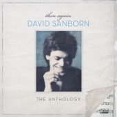 Then Again - The David Sanborn Anthology artwork