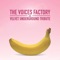 Venus In Furs (feat. Nicole Bortolotti) - The Voices Factory lyrics
