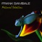 Natural Selection - Frank Gambale lyrics