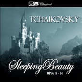 Tchaikovsky The Sleeping Beauty Op. 66 8-14 artwork