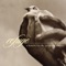 Awake Soon - Sarah Slean lyrics