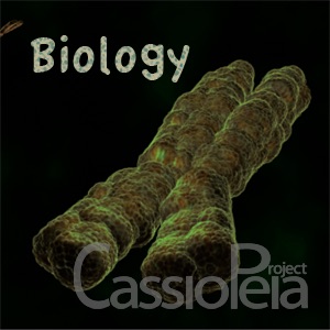 Biology - SD