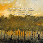 String Quartet No. 5 in C Major, Op. 29, "Serenade": II. Ballata. Allegretto scherzando artwork