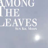 Sun Kil Moon - Among the Leaves