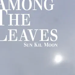 Among the Leaves - Sun Kil Moon
