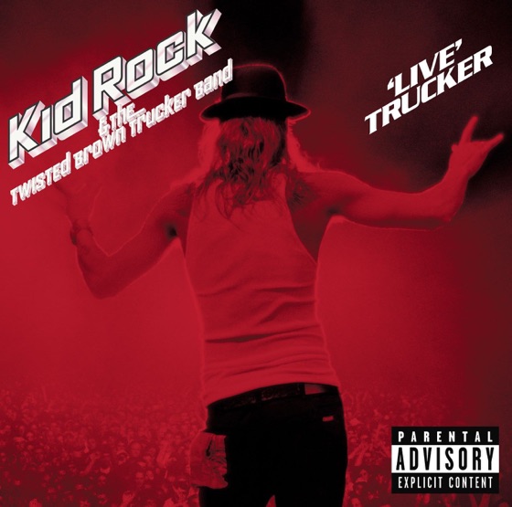 Cover artwork for Picture (feat. Gretchen Wilson) [Live]