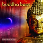 Buddha Bass & Kalya Scintilla - Cosmic (Kalya Scintilla Remix)