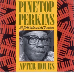 Pinetop Perkins - Thinks Like a Million