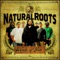 Lion in the Sun - Natural Roots lyrics