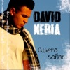 David Neria - Como Yo Te Vi