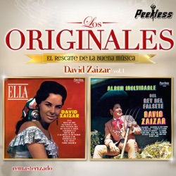 David Zaizar - Flor Triste