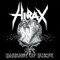 Barrage of Noise - Hirax lyrics