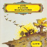 13th Floor Elevators - Roller Coaster