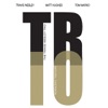 The Travis Wesley Trio - Slip Slidin' Away