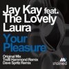 Your Pleasure (feat. The Lovely Laura) - Single