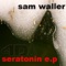 Fibonacci Sequence - Sam Waller lyrics