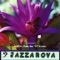 Jazzanova - Alonzo(lonie)levister lyrics