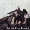 The Last Living Souvenir