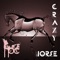 Crazy Horse - fpc (for popular consumption) lyrics