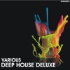 Deep House Deluxe