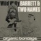 The Emperor's Head - Wild Willy Barrett & Stephen Two-Names lyrics