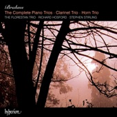 Trio for Piano, Clarinet and Cello in A Minor, Op. 114: I. Allegro artwork