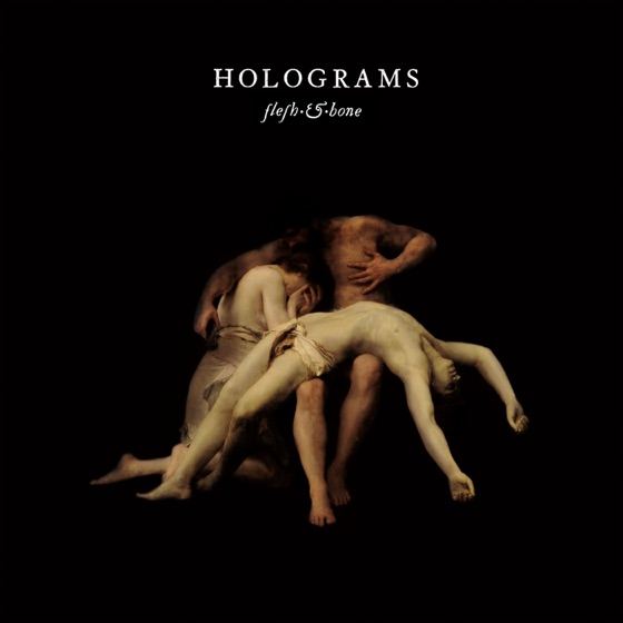 Cover artwork for Flesh & Bone