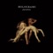 Flesh & Bone - Holograms lyrics