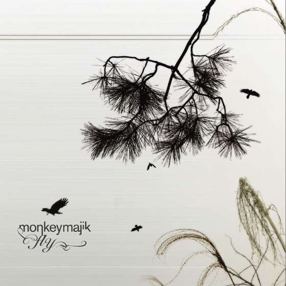 Cover artwork for Fly