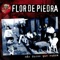 Siento Defraudarte - Flor De Piedra lyrics