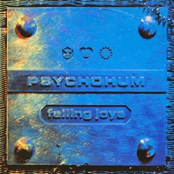 Falling Joys - A Winter's Tale