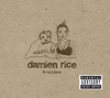 Delicate by Damien Rice iTunes Track 2