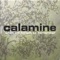 These Days - Calamine lyrics