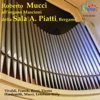 Roberto Mucci - Concerto in D Minor, RV 565: III. Largo e spiccato