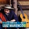 O Forasteiro (feat. Março Aurelio Vasconcellos) - Luiz Marenco lyrics