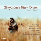 Gökyüzünde Tüten Olsam (feat. Erkan Oğur, Volkan Hürsever, Ercüment Orkut, Tolgay Yılmaz & Burcu Yankın) - Merih Aşkın
