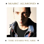 Marc Almond - Bitter Sweet