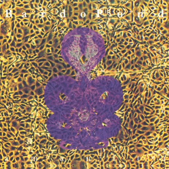 Cover artwork for Be a Fish