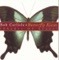 Butterfly Kisses - Bob Carlisle lyrics