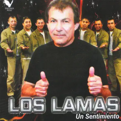 Un Sentimiento - Los Lamas