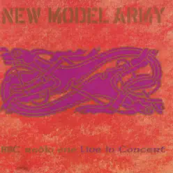 In Concert - New Model Army