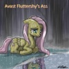 Avast Fluttershy's Ass - Single