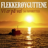 Vi Er På Vei - 56 Favoritter artwork