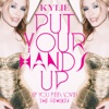 Put Your Hands Up (If You Feel Love) [The Remixes] - EP, 2011